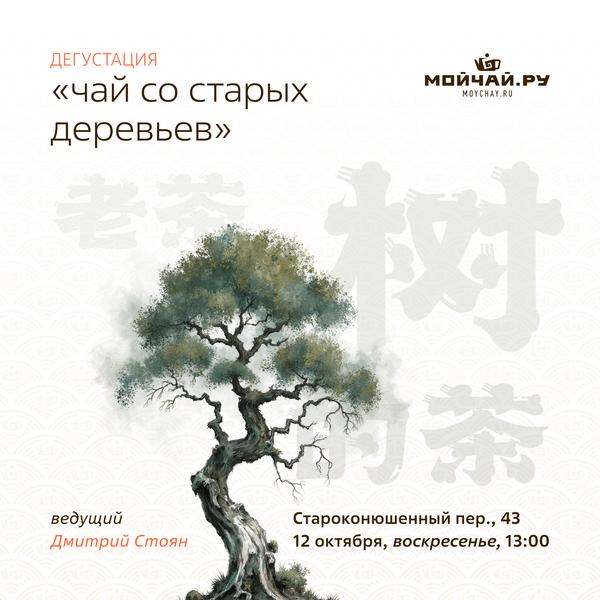 12 октября/Дегустация "Чай со старых деревьев "/ЧАЙНЫЙ КЛУБ МОЙЧАЙ.РУ АРБАТ, Москва