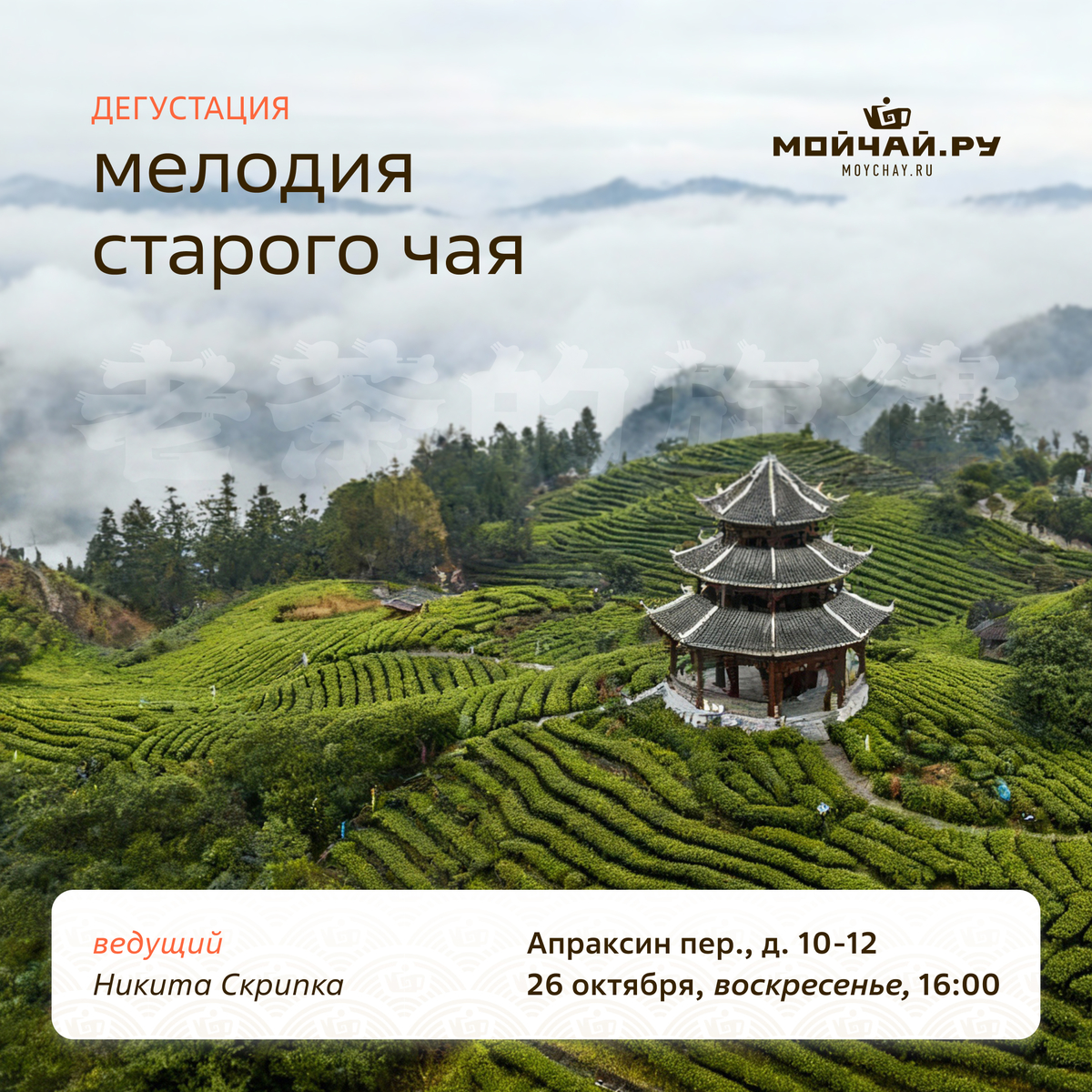 26/10/2025 "Мелодия старого чая" дегустация / Никита Скрипка / ЧАЙНЫЙ КЛУБ МОЙЧАЙ.РУ АПРАКСИН / Санкт-Петербург