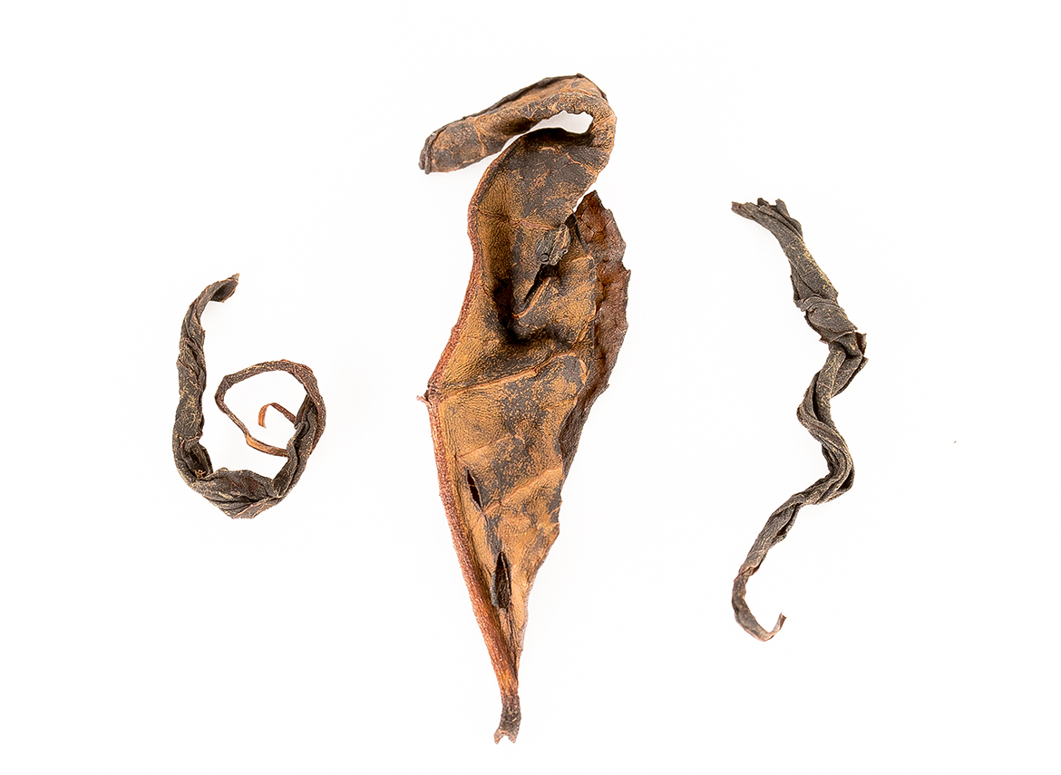 Юндэ Дашу Шэн Ча, 2021