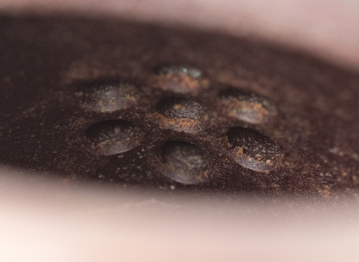 Чайник # 51843, исинская глина, дровяной обжиг, ручная работа, 300 мл.