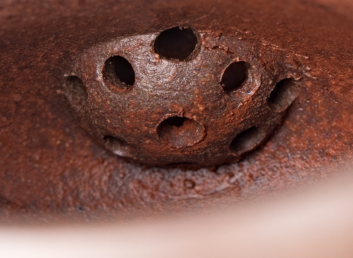 Чайник # 52279, дровяной обжиг/исинская глина, ручная работа, 140 мл.