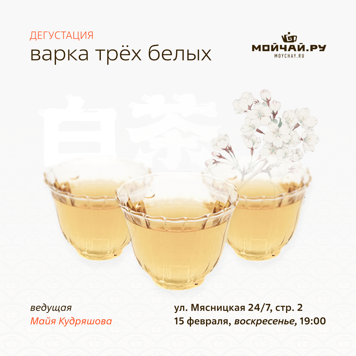 15 февраля/Дегустация "Варка трёх белых"/ЧАЙНЫЙ КЛУБ МОЙЧАЙ.РУ МЯСНИЦКАЯ, Москва