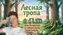 10 октября/Лесная тропа. Встреча и психологическая игра/Маргарита Руденко/ЧАЙНЫЙ КЛУБ МОЙЧАЙ.РУ МАЛАЯ ДМИТРОВКА, Москва